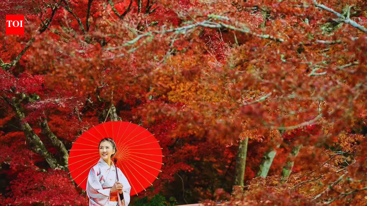 Japan Travels: Japan doesn’t do 'Normal': 5 unique things and places you’ll rarely see anywhere else - The Times of India