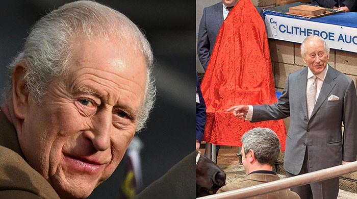 King Charles silent on Epstein question as crowd shouts 'kick him out'
