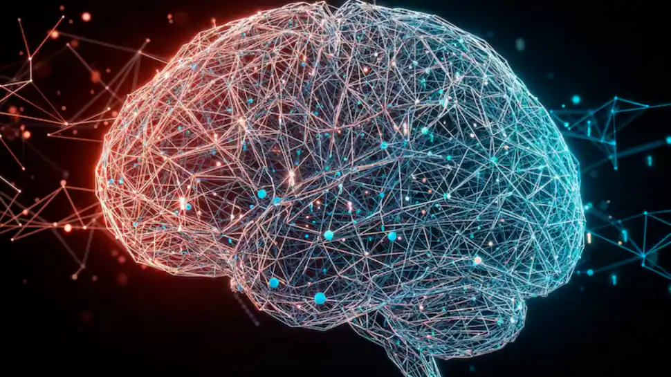 MRI scans show exercise can make the brain look younger: Study