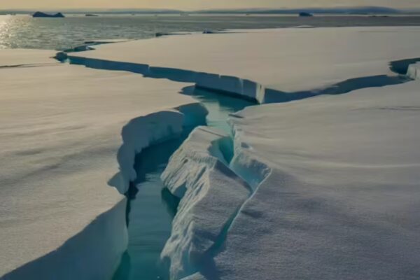 NASA maps how Earth’s glaciers speed up and slow down through the year | - The Times of India