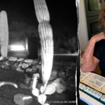 Nancy Guthrie neighbors' Ring camera captures vehicles on possible route from crime scene