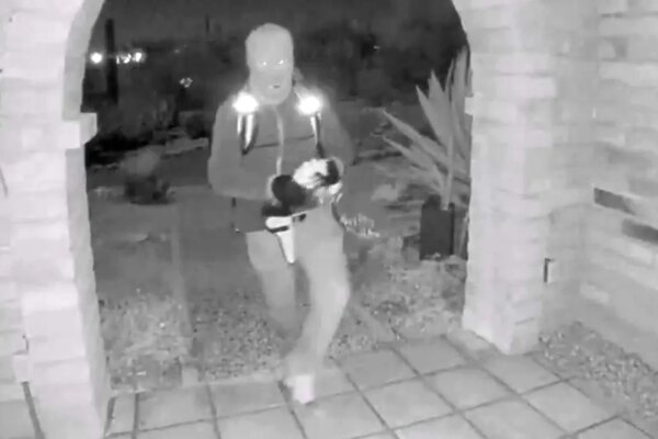 New FBI video in Nancy Guthrie hunt shows jawline, gait details expert says shouldn’t be ignored