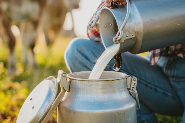 New Mexico newborn dies from Listeria infection after mother drank raw milk while pregnant: state officials