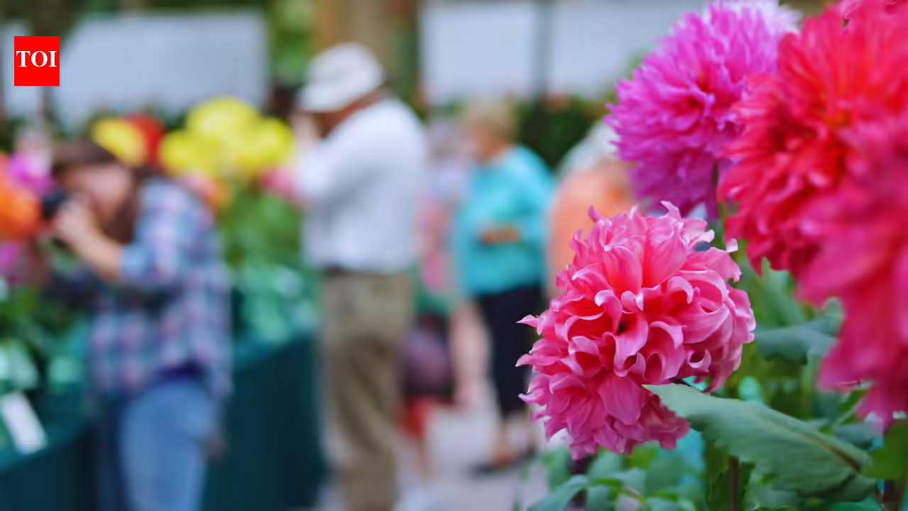 Noida Flower Festival 2026 is back with floral displays and free entry: What visitors need to know | - The Times of India