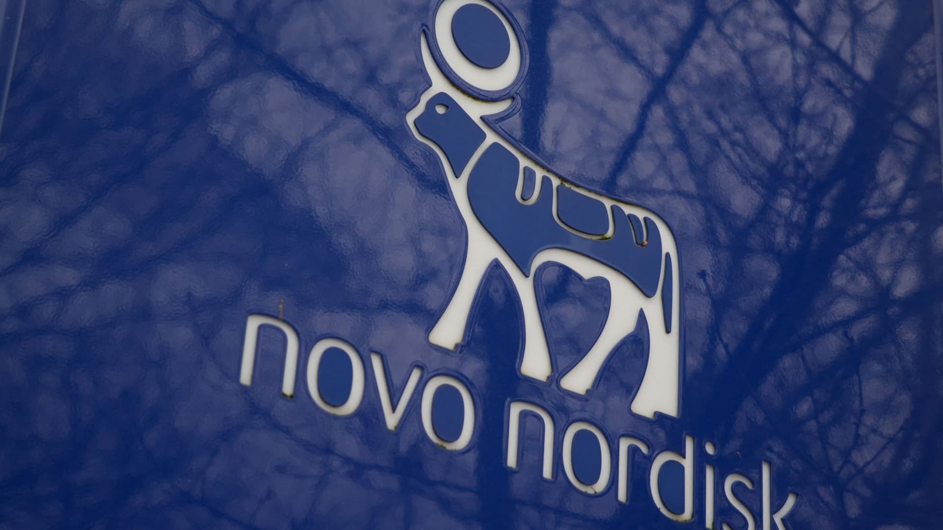 Novo Nordisk sues Hims & Hers over cheaper copycat versions of Wegovy pill, injections