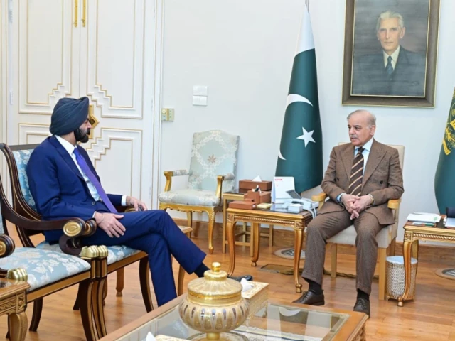 world bank group president ajay banga calls on prime minister shehbaz sharif photo pid