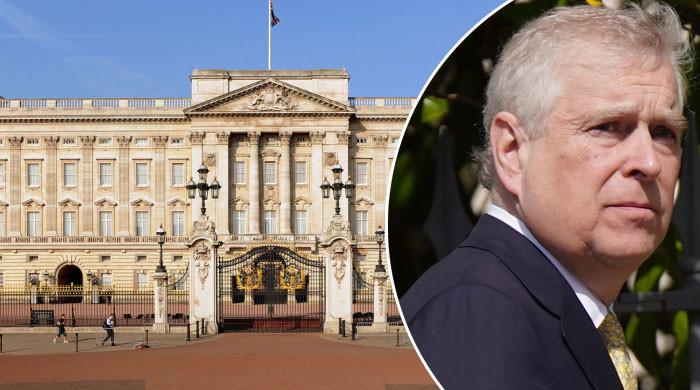 Palace staffers ‘terrified' of consequences amid Andrew probe