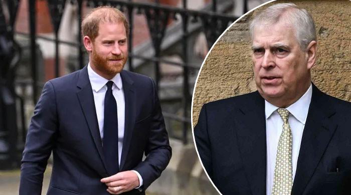 Prince Harry takes wise step as Andrew police probe stirs royal trouble