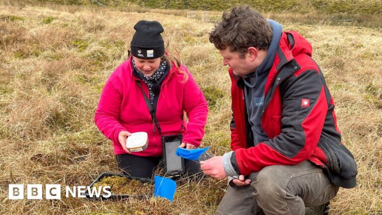 Rare mosses reintroduced to Yorkshire to fight climate change