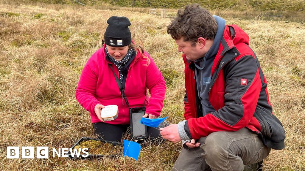 Rare mosses reintroduced to Yorkshire to fight climate change