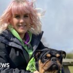 Rising vet costs leave Birmingham charity with £400k bill