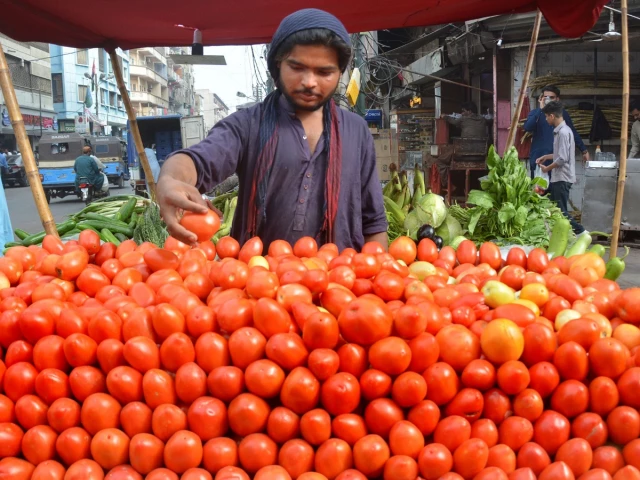 a vendor arranges tomatoes on his pushcart the kitchen essential was selling on pushcarts for rs400 450 and in supermarkets at rs550 580 due to short supply in the market photo jalal qureshi express