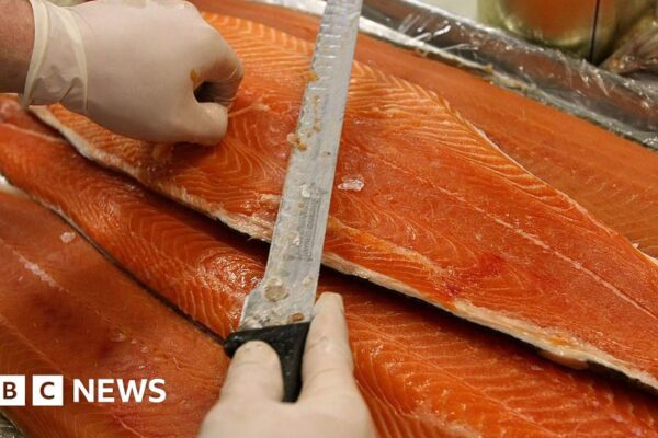 Salmon exports remain high but Scotch whisky falls