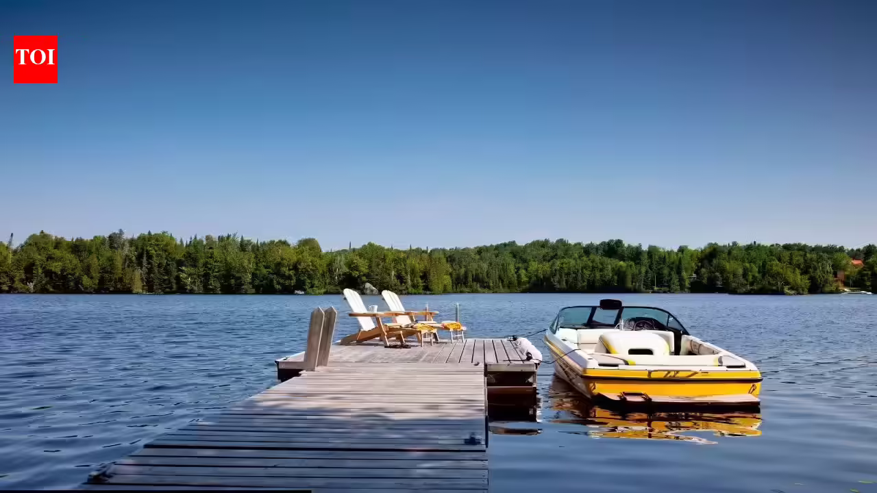 Scientist in America are electrocuting lakes and the reason is alarming | - The Times of India