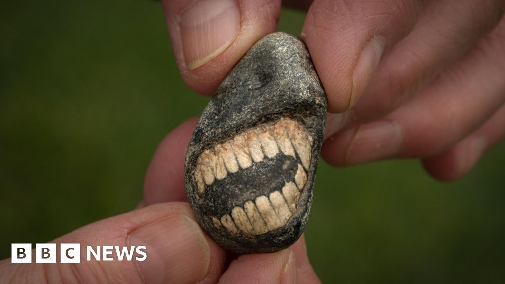 'Smiling' fossil discovered in Northumberland