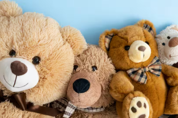 Teddy Day 2026: Date, history, significance, and sweet ways to celebrate the fourth day of Valentine’s week