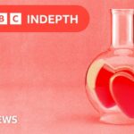 The science of soulmates: is there someone out there exactly right for you?