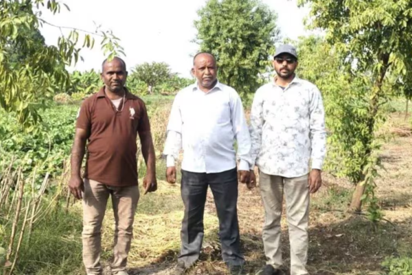 These 3 MP Brothers Rejected FDs And Are Planting Something To Make Rs 5 Crore In 10 Years