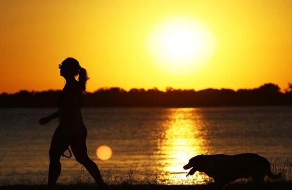 Till death do us bark: Brazilian state lets pets be buried with owners