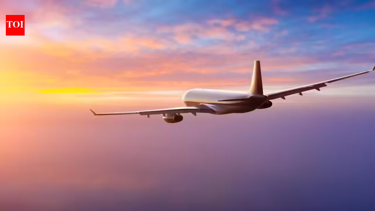 Up to 2-year no-fly ban proposed in DGCA draft: What travellers should know about where to file an appeal and next steps | - The Times of India