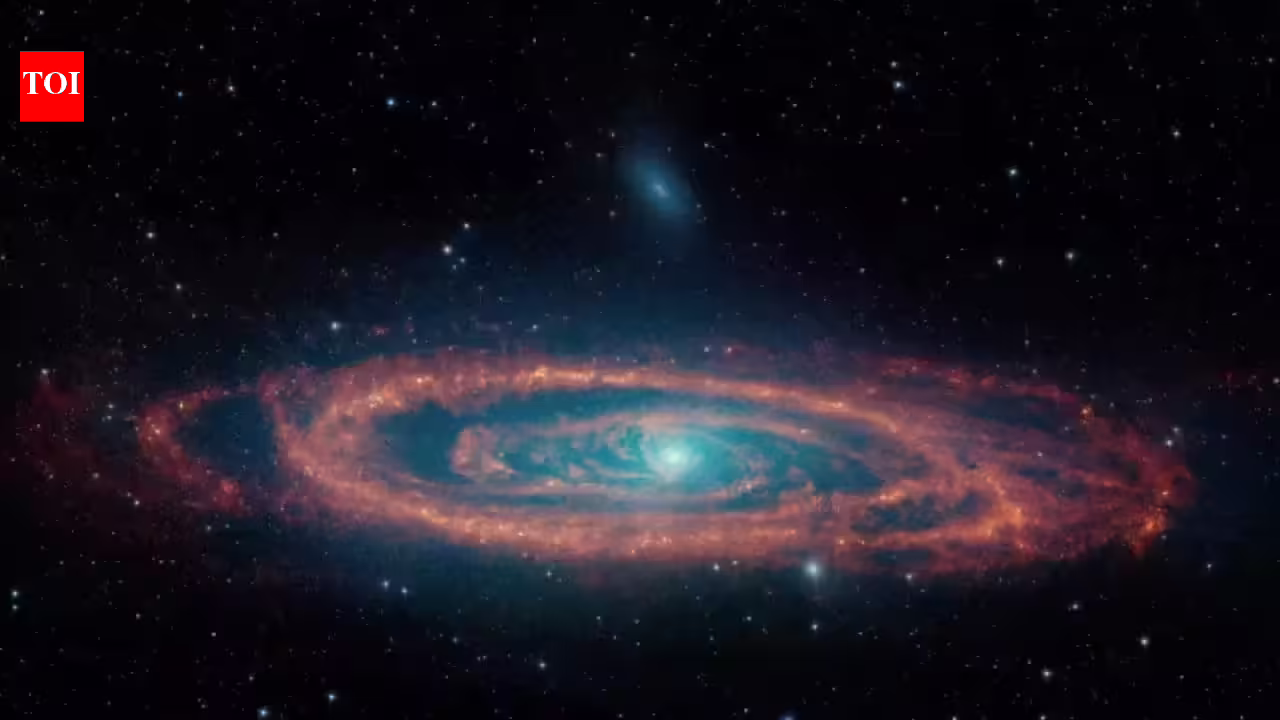 Water and oxygen aren’t enough: Scientists reveal two ‘must-have’ ingredients for life on other planets | - The Times of India