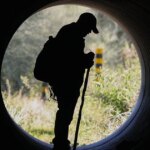 What could come next in the investigation into Nancy Guthrie's disappearance