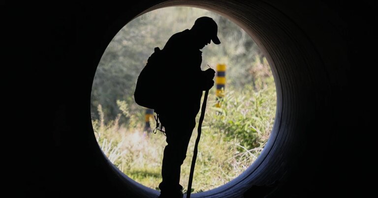 What could come next in the investigation into Nancy Guthrie's disappearance