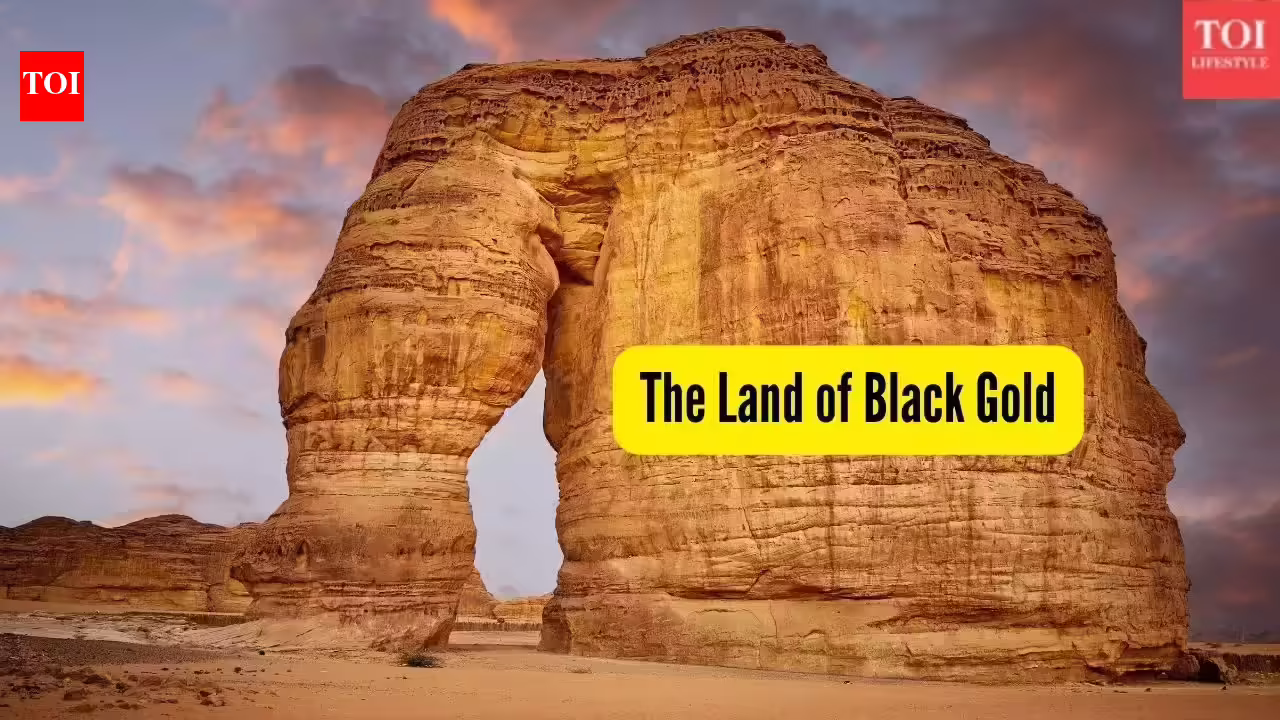 Which country is known as the ‘Land of Black Gold’? - The Times of India
