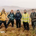 Wild Haweswater fungal research aims to support woodland creation
