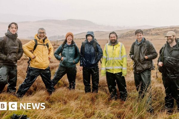 Wild Haweswater fungal research aims to support woodland creation