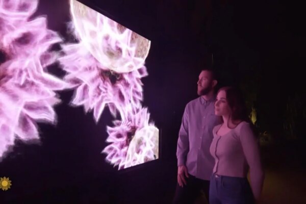 Art and data converge in Arizona's Sonoran Desert