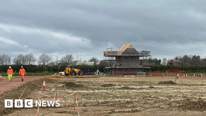 Concerns over £166k cost of rehoming bats in Gloucestershire