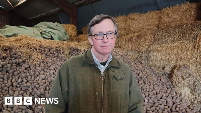 'Cost to supply potatoes has risen 40%' amid Middle East conflict