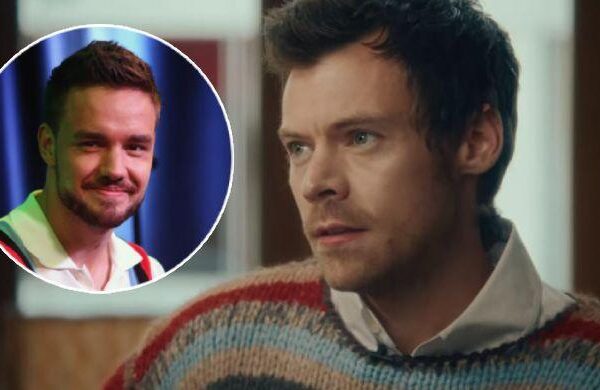 Harry Styles breaks silence on Liam Payne's 'difficult' death