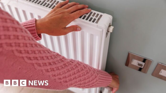 Home heating oil: Support for NI homes 'needed now'  