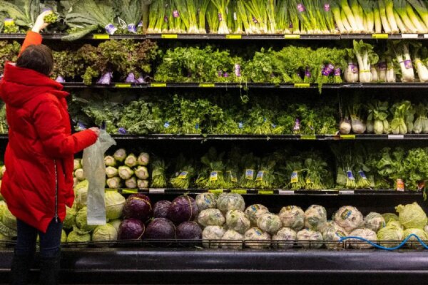 Follow all the live updates from The Hundred 2026 auction.(AP, AFP, AFP)