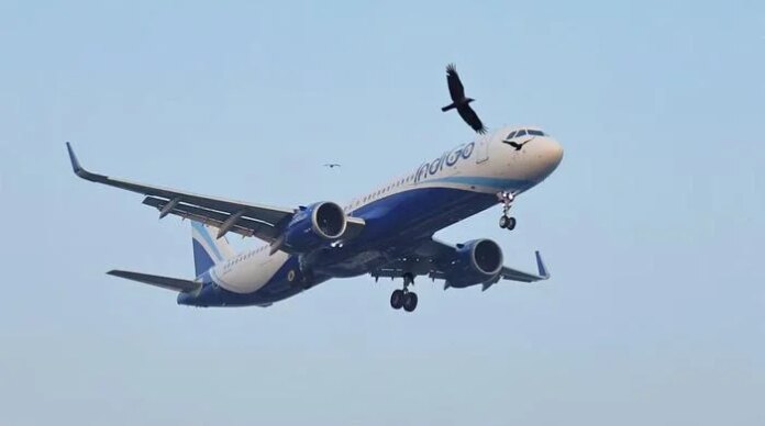 Iran war deals double blow to Indian airlines already hit by Pakistan airspace ban