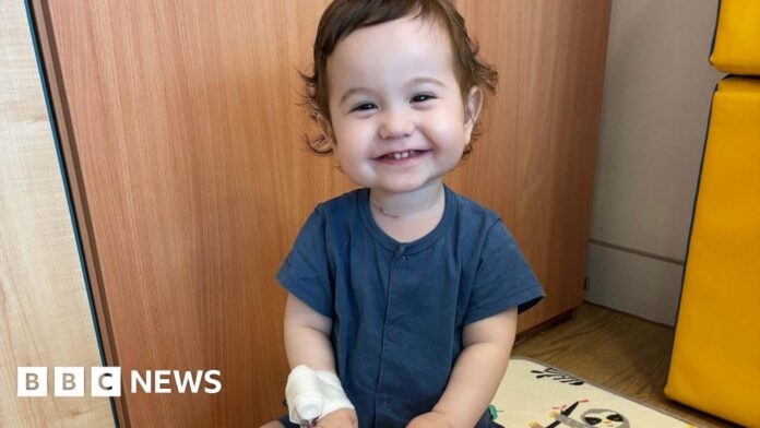 Lab-grown food pipe implanted in pigs offers new hope for young patients 