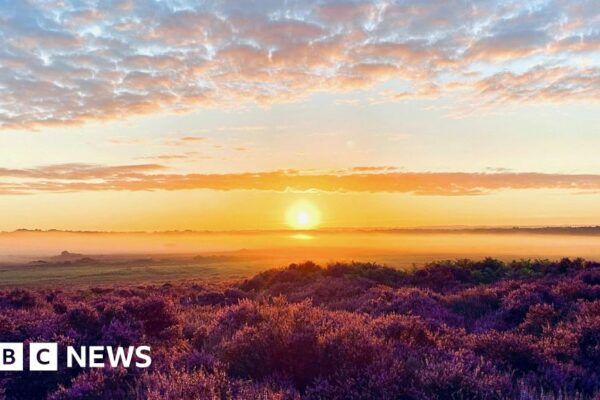 Norfolk Wildlife Trust's centenary 'free weekend in nature'