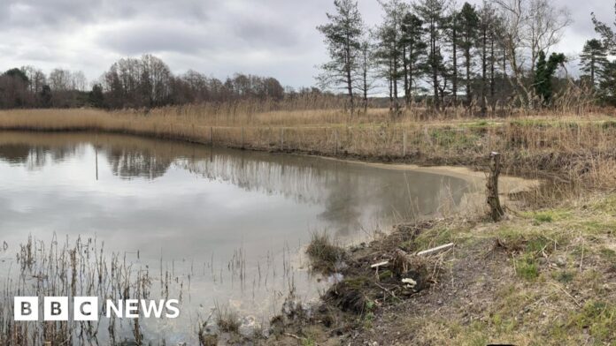 Oil giant, Perenco, forced to pay £6m after Poole Harbour spill