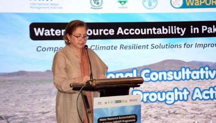 Pakistan launches first national drought plan to tackle water stress