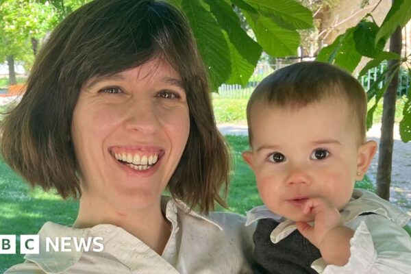 Pregnant women's brains shed grey matter to prime them for motherhood, study suggests