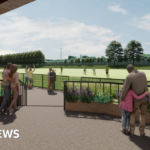 Sloughbottom Park pitch set to be approved despite plastic fears