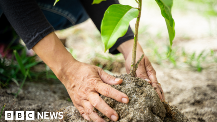Staffordshire Moorlands District Council offers funding for green initiatives