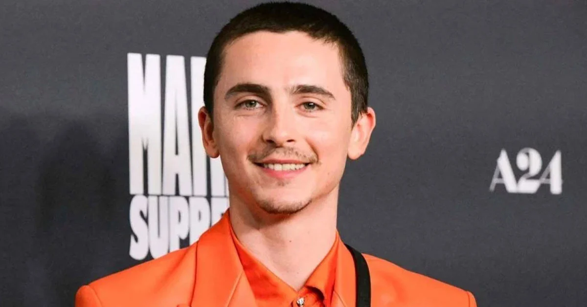 Timothee Chalamet's 'no one cares' opera remark divides Hollywood insiders