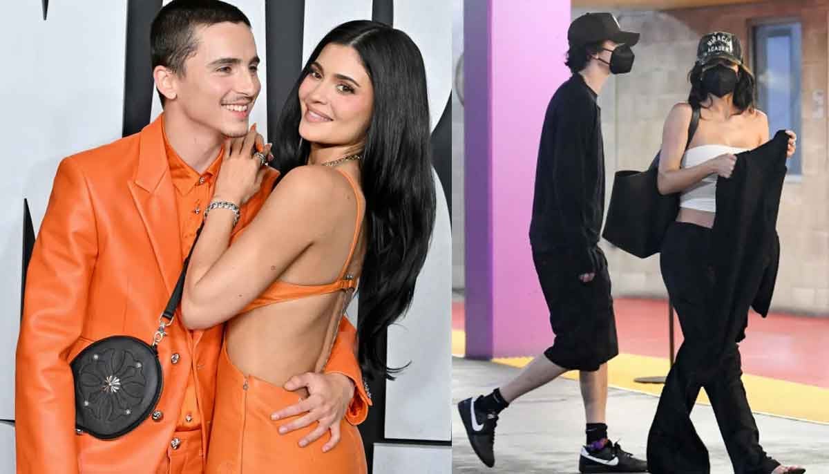 Timothée Chalamet's remarks against child-free living resurface amid fresh criticism