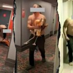 Tourist's bird-brained Vegas stunt with flamingo lands him behind bars on felony charges