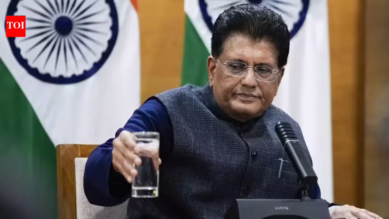 US deal likely to be worked out in 3-4 months: Officials - The Times of India