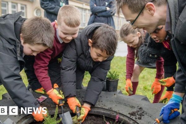 Wild spaces for butterflies to be created in Glasgow