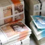 Wildlife to replace humans on next series of UK banknotes